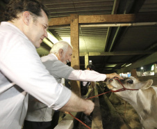 O governador em exercício Darci Piana, participa da abertura da 48ª Exposição Paranavaí - Feira Agropecuária e Industrial de Paranavaí, região noroeste do Estado.  Presentes: presidente da Sociedade Rural do Noroeste do Paraná, Mario Helio de Almeida; secretário de Agricultura, Norbeto Ortigara;  entre outros.Paranavaí, 08-03-19.Foto: Arnaldo Alves / ANPr.