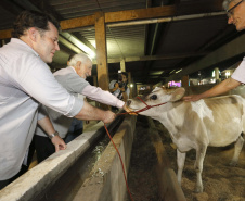 O governador em exercício Darci Piana, participa da abertura da 48ª Exposição Paranavaí - Feira Agropecuária e Industrial de Paranavaí, região noroeste do Estado.  Presentes: presidente da Sociedade Rural do Noroeste do Paraná, Mario Helio de Almeida; secretário de Agricultura, Norbeto Ortigara;  entre outros.Paranavaí, 08-03-19.Foto: Arnaldo Alves / ANPr.