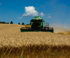 A Secretaria de Estado da Agricultura e Abastecimento enviou documento ao Ministério da Agricultura, Pecuária e Abastecimento que propõe aumento na concessão de crédito para o agronegócio, redução nas taxas de juros para as principais linhas de financiamento do agronegócio brasileiro e o cumprimento integral de todas as deliberações contidas no plano anual. O Plano Agrícola e Pecuário para a safra 2019-2020 inicia no mês de junho.  -  Curitiba, 11/03/2019  -  Foto: Antonio Costa/Arquivo ANPr