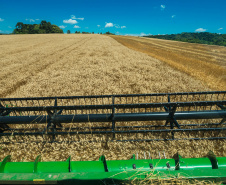 A Secretaria de Estado da Agricultura e Abastecimento enviou documento ao Ministério da Agricultura, Pecuária e Abastecimento que propõe aumento na concessão de crédito para o agronegócio, redução nas taxas de juros para as principais linhas de financiamento do agronegócio brasileiro e o cumprimento integral de todas as deliberações contidas no plano anual. O Plano Agrícola e Pecuário para a safra 2019-2020 inicia no mês de junho.  -  Curitiba, 11/03/2019  -  Foto: Antonio Costa/Arquivo ANPr