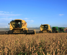 A Secretaria de Estado da Agricultura e Abastecimento enviou documento ao Ministério da Agricultura, Pecuária e Abastecimento que propõe aumento na concessão de crédito para o agronegócio, redução nas taxas de juros para as principais linhas de financiamento do agronegócio brasileiro e o cumprimento integral de todas as deliberações contidas no plano anual