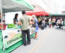 A Copasol Sul, cooperativa de agricultura familiar de Agudos do Sul, na Região Metropolitana de Curitiba, fez sua estreia em vendas diretas de seus produtos ao consumidor durante a Feira das Cooperativas, que acontece todas às sextas-feiras, em Curitiba.  Foto:SEAB