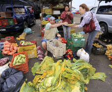  Um novo projeto desenvolvido pela Secretaria de Estado da Agricultura e do Abastecimento e Ministério da Cidadania vai colaborar para a redução do desperdício de alimentos em todo o Estado nos próximos dois anos