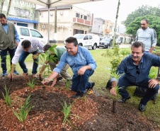 O Governo do Estado, por meio da Secretaria de Desenvolvimento Sustentável e Turismo, realizou neste final de semana (23-24) soltura de peixes, plantio de árvores e atividades de educação ambiental em Campo Mourão, Formosa do Oeste, Quarto Centenário, Alto Paraíso / Porto Figueira.  -  Curitiba, 25/03/2019  -  Foto: Dênis Ferreira Netto/Desenvolvimento Sustentável