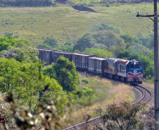 Ferroeste  -  Foto: Chuniti Kawamura/Arquivo ANPr.