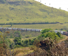 Ferroeste  -  Foto: Chuniti Kawamura/Arquivo ANPr.