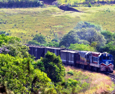 Ferroeste  -  Foto: Chuniti Kawamura/Arquivo ANPr