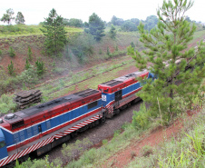 Ferroeste - Foto: Jorge Woll/DER/SEIL