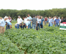 O secretário estadual da Agricultura e do Abastecimento, Norberto Ortigara, participou nesta quinta-feira (28) em Ponta Grossa do lançamento da cultivar de feijão-preto IPR Urutau, elaborada pelo Instituto Agronômico do Paraná (Iapar).  -  Ponta Grossa, 28/03/2019  -  Foto:  Edino Ferreira da Silva/ Iapar