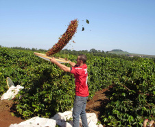 Fazenda Palmeira, em Santa Mariana. Foto: Divulgação/Rota do Café
