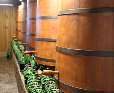 Rota do Vinho. Colônia MerglhãoGilson Abreu/ANPr