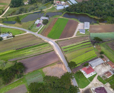  O produtor Bruno Schules, 32, de São José dos Pinhais, na Região Metropolitana de Curitiba (RMC), é um dos agricultores que trabalham com olericultura no Estado e recebem atendimento da Emater.  -  São José dos Pinhais, 04/04/2019  -  Foto: José Fernando Ogura/ANPr