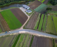  O produtor Bruno Schules, 32, de São José dos Pinhais, na Região Metropolitana de Curitiba (RMC), é um dos agricultores que trabalham com olericultura no Estado e recebem atendimento da Emater.  -  São José dos Pinhais, 04/04/2019  -  Foto: José Fernando Ogura/ANPr