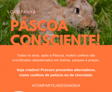 Governo incentiva que coelhos sejam substituídos por presentes alternativos nessa Páscoa
. Após a Páscoa, muitas pessoas abandonam esses animais em lixeiras, parques e praças. O ideal é comprar presentes alternativos.  -  Curitiba, 09/04/2019  -  Foto: Divulgação SEDEST