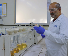 A sustentabilidade da produção de alimentos depende da manutenção e da melhoria da capacidade produtiva do solo