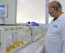 A sustentabilidade da produção de alimentos depende da manutenção e da melhoria da capacidade produtiva do solo