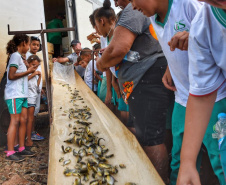 Nos primeiros 100 dias desta gestão, a Secretaria de Estado do Desenvolvimento Sustentável e Turismo conquistou importantes resultados nas áreas de educação ambiental, conscientização e preservação ambiental, além efetivar medidas voltadas à reforma administrativa e agilidade dos processos. Foto: Denis Ferreira Netto/SEDEST