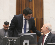 O Paraná poderá ser pioneiro no País com a criação do primeiro Fundo Estadual do Trabalho. A Secretaria de Estado da Justiça, Família e Trabalho articulou durante meses junto à Assembleia Legislativa o projeto de Lei nº 211/2019, que institui a criação do Fundo, aprovado nesta terça-feira (23) em primeira votação na sessão plenária da Assembleia.  -  Curitiba, 23/04/2019  -  Foto: Divulgação SEJUF