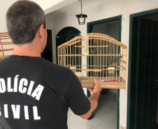 A Delegacia de Proteção ao Meio Ambiente (DPMA) da Polícia Civil do Paraná apreendeu 250 animais silvestres ou em situação de maus tratos em Curitiba e região no primeiro trimestre deste ano. Foto: Polícia Civil