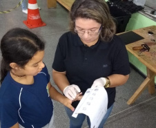 A quinta edição da feira de serviços Paraná Cidadão em 2019 aconteceu em Mandirituba com 7,6 mil atendimentos registrados. Cerca de 5 mil pessoas que passaram pelo evento, encerrado nesta sexta-feira (26), tiveram acesso a diversos serviços gratuitos disponibilizados em um único local.  Mandirituba, 26/04/2019   -  Foto: Divulgação SEJUF