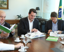 Governador Carlos Massa Ratinho Junior recebe o ministro do Meio Ambiente, Ricardo Salles  -  Curitiba, 30/04/2019  -  Foto: Rodrigo Félix Leal/ANPr