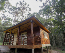 Vinícula Araucária, em São José dos Pinhais. N/F: apartamento japonês.São José dos Pinhais, 26-04-19.Foro: Arnaldo Alves / ANPr.