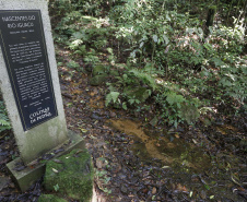 Cave Colinas de Pedra, em Piraquara. Uma das nascentes do Rio Iguaçu, dentro da propriedade.Piraquara, 30-04-19.Foto: Arnaldo Alves / ANPr.