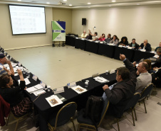 Reunião do Conselho Estadual de Cultura.
Curitiba, 20 de maio de 2019.
Foto: Kraw Penas/SECC