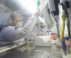 A produção acadêmica das sete universidades pertencentes ao governo estadual é um dos pilares para o Paraná estar entre os estados brasileiros que mais produzem ciência e inovação, colaborando para elevar a produção científica do país. Levantamento realizado neste mês de maio, junto às sete universidades estaduais, demonstrou que nos últimos dois anos foram concluídas 5.735 dissertações de mestrados e teses de doutorados.  -  Curitiba, 28/05/2019  -  Foto: Jaelson Lucas/ANPr