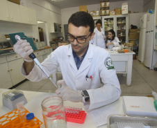 A produção acadêmica das sete universidades pertencentes ao governo estadual é um dos pilares para o Paraná estar entre os estados brasileiros que mais produzem ciência e inovação, colaborando para elevar a produção científica do país. Levantamento realizado neste mês de maio, junto às sete universidades estaduais, demonstrou que nos últimos dois anos foram concluídas 5.735 dissertações de mestrados e teses de doutorados.  -  Curitiba, 28/05/2019  -  Foto: Jaelson Lucas/ANPr