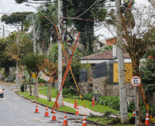 Vendavais e granizo afetam mais de sete mil pessoas no Paraná. Foto: Geraldo Bubniak/ANPr