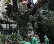 Vendavais e granizo afetam mais de sete mil pessoas no Paraná. Foto: Geraldo Bubniak/ANPr