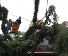 Vendavais e granizo afetam mais de sete mil pessoas no Paraná. Foto: Geraldo Bubniak/ANPr