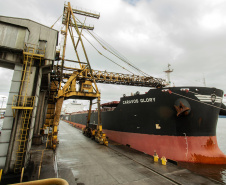 O Porto de Paranaguá registrou nova movimentação recorde. Desta vez, no embarque de açúcar a granel pelo berço 204. Um único navio - o Caravos Glory, das Ilhas Marschall (Oceania) - levará uma carga de 58.175 toneladas para o Oriente Médio. A média dos carregamentos no local geralmente fica entre 40 e 45 mil toneladas.  -  Paranaguá, 03/06/2019  -  Foto: Cláudio Neves/APPA