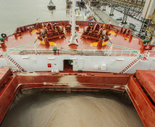 O Porto de Paranaguá registrou nova movimentação recorde. Desta vez, no embarque de açúcar a granel pelo berço 204. Um único navio - o Caravos Glory, das Ilhas Marschall (Oceania) - levará uma carga de 58.175 toneladas para o Oriente Médio. A média dos carregamentos no local geralmente fica entre 40 e 45 mil toneladas.  -  Paranaguá, 03/06/2019  -  Foto: Cláudio Neves/APPA