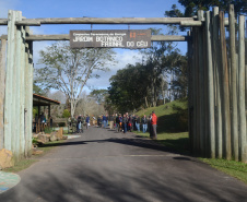 Secretaria promove ações em homenagem ao Meio Ambiente. Foto: Divulgação/SEDEST