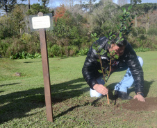 Secretaria promove ações em homenagem ao Meio Ambiente. Foto: Divulgação/SEDEST