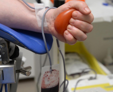A frase é de uma mensagem de agradecimento publicada em rede social pela paciente Valéria Gurski, de Cascavel, portadora de Talassemica Major, um tipo de anemia crônica que exige transfusões sanguíneas a cada 21 dias. A transfusão é parte fundamental do tratamento da paciente de 30 anos que frequenta o Centro de Hematologia e Hemoterapia do Paraná (Hemepar) desde o primeiro ano de vida.

Foto:Venilton Küchler/Arquivo/SESA
