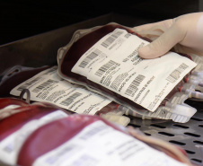 A frase é de uma mensagem de agradecimento publicada em rede social pela paciente Valéria Gurski, de Cascavel, portadora de Talassemica Major, um tipo de anemia crônica que exige transfusões sanguíneas a cada 21 dias. A transfusão é parte fundamental do tratamento da paciente de 30 anos que frequenta o Centro de Hematologia e Hemoterapia do Paraná (Hemepar) desde o primeiro ano de vida.

Foto:Venilton Küchler/Arquivo/SESA