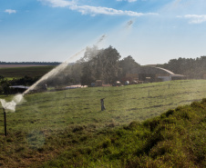 BIOMASSA - Em Entre Rios do Oeste, onde a produção de carne suína é mais de 30 vezes maior do que o número de habitantes, um projeto da Aneel (Agência Nacional de Energia Elétrica), Copel, Fundação Parque Tecnológico de Itaipu, CIBiogás e prefeitura municipal vai gerar e distribuir energia elétrica a partir do biogás de biomassa residual da suinocultura em propriedades rurais.  12/06/2019  -  Foto: Divulgação