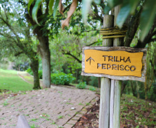 Balsa Nova - Parque Manancial.Foto: Geraldo Bubniak