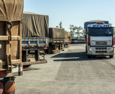 O movimento no Pátio de Triagem do Porto de Paranaguá, esta semana, passou dos três mil caminhões por dia. O volume é quase 67% maior que a média registrada normalmente, de até 2 mil veículos/dia, e resultado da boa fase do agronegócio brasileiro, principalmente no comércio de soja e milho.   -  Paranaguá, 19/06/2019  -  Foto: Cláudio Neves/Portos do Paraná
