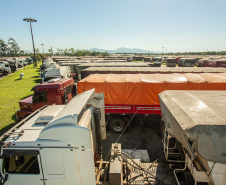 O movimento no Pátio de Triagem do Porto de Paranaguá, esta semana, passou dos três mil caminhões por dia. O volume é quase 67% maior que a média registrada normalmente, de até 2 mil veículos/dia, e resultado da boa fase do agronegócio brasileiro, principalmente no comércio de soja e milho.   -  Paranaguá, 19/06/2019  -  Foto: Cláudio Neves/Portos do Paraná