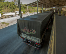 O movimento no Pátio de Triagem do Porto de Paranaguá, esta semana, passou dos três mil caminhões por dia. O volume é quase 67% maior que a média registrada normalmente, de até 2 mil veículos/dia, e resultado da boa fase do agronegócio brasileiro, principalmente no comércio de soja e milho.   -  Paranaguá, 19/06/2019  -  Foto: Cláudio Neves/Portos do Paraná