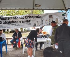 A Secretaria de Estado do Desenvolvimento Sustentável e do Turismo, em parceria com a Prefeitura de Pontal do Paraná, promove uma ação para castração gratuita de cães e gatos do município, incluindo a Ilha do Mel. Foto: Denis Ferreira Netto/SEDEST