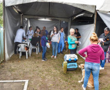A Secretaria de Estado do Desenvolvimento Sustentável e do Turismo, em parceria com a Prefeitura de Pontal do Paraná, promove uma ação para castração gratuita de cães e gatos do município, incluindo a Ilha do Mel. Foto: Denis Ferreira Netto/SEDEST