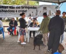 A Secretaria de Estado do Desenvolvimento Sustentável e do Turismo, em parceria com a Prefeitura de Pontal do Paraná, promove uma ação para castração gratuita de cães e gatos do município, incluindo a Ilha do Mel. Foto: Denis Ferreira Netto/SEDEST