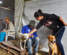 A Secretaria de Estado do Desenvolvimento Sustentável e do Turismo, em parceria com a Prefeitura de Pontal do Paraná, promove uma ação para castração gratuita de cães e gatos do município, incluindo a Ilha do Mel. Foto: Denis Ferreira Netto/SEDEST