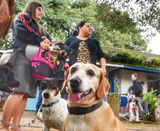 A Secretaria de Estado do Desenvolvimento Sustentável e do Turismo, em parceria com a Prefeitura de Pontal do Paraná, promove uma ação para castração gratuita de cães e gatos do município, incluindo a Ilha do Mel. Foto: Denis Ferreira Netto/SEDEST