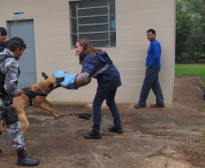 Profissionais da Sanepar recebem treinamento periodicamente. Foto: Divulgação/Sanepar